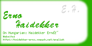 erno haidekker business card